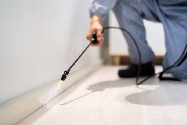 Bed Bug Pre-Treatment Preparation Assessment in Nibley