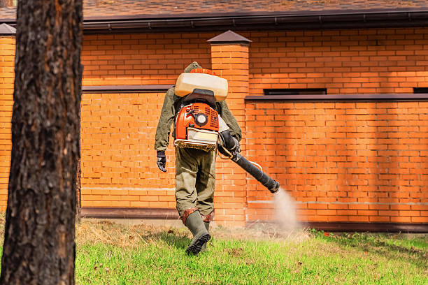Bed Bug Clearance Verification and Documentation in Nibley